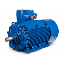 CEMP無火花和防塵版電動(dòng)機(jī)IEC