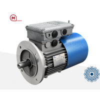 Motovario平行和正交減速機BC 216型號