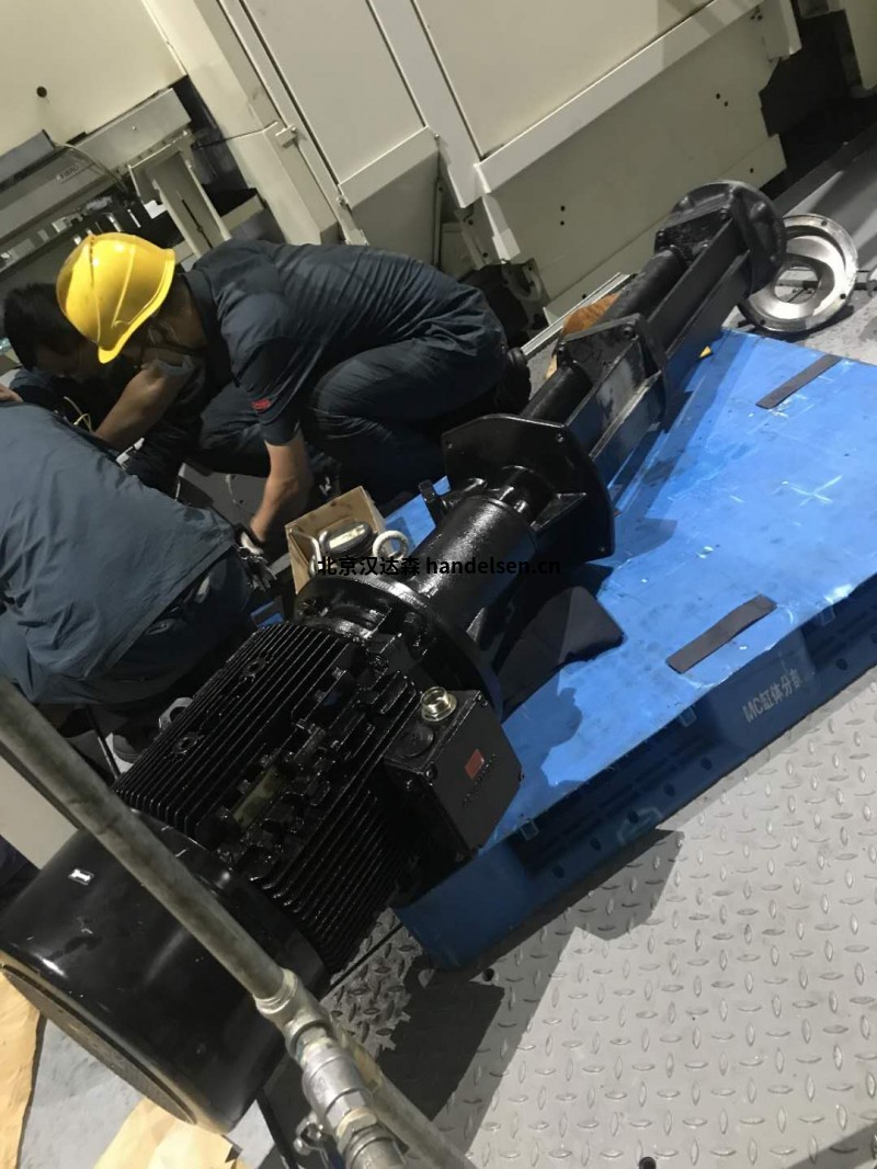 德國BRINKMANN泵SGL333/560-MVX+302印刷行業(yè)使用 德國BRINKMANN泵SGL333/560-MVX+302印刷行業(yè)使用