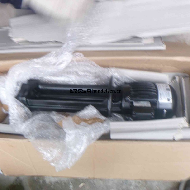 brinkman 端吸式泵SBM系列塑料和微型離心泵塑膠行業(yè) 20435 (1)