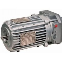 CEMP防爆型剎車防爆電機技術參數(shù)