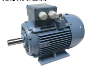 Electramo 標(biāo)準(zhǔn)效率三相電機
