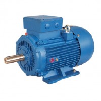 Electramo 雙速三相交流電機(jī)MSD132M-2/4
