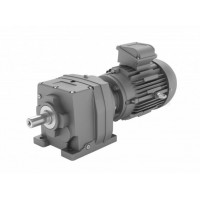 德國(guó)原廠(chǎng)Radicon螺旋直列式減速電機(jī)M 系列