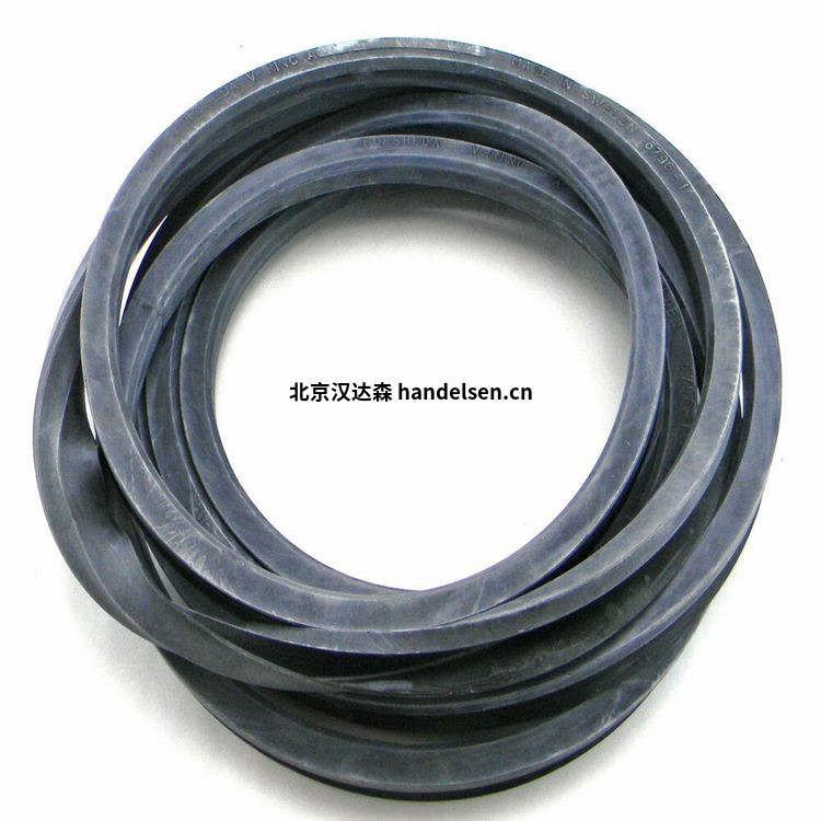 Forsheda丁腈橡膠 材質(zhì)密封圈TRA B00170-VCBVR