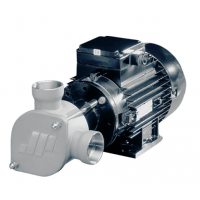 Johnson Pump 柔性葉輪泵-AC  特別適用于艙底、沖洗、消防、化糞池處理和水循環(huán)任務(wù)