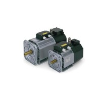 OEMER異步電動(dòng)機(jī) QCA90SA/2系列 可變速使用，由逆變器供電