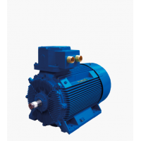 Marelli Motori 是電機(jī)和發(fā)電機(jī)的領(lǐng)先制造商，適用于多種工業(yè)領(lǐng)域