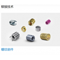 Bossard 提供多種不同類型的螺母，墊圈，螺釘，鉚釘?shù)染o固件