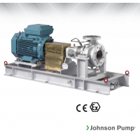 Johnson Pump 重型流程泵，適合化工、煉油廠和一般工業(yè)應(yīng)用