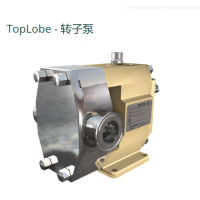 Johnson Pump TopLobe轉(zhuǎn)子泵，有12 種不同的尺寸可供選擇