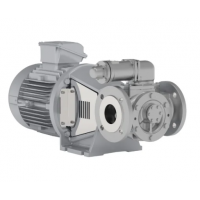 Johnson Pump 內(nèi)嚙合齒輪泵，適用于中等粘度、清潔和非磨蝕性液體