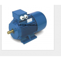 意大利 OEMER 異步電機 MTES3 系列：高效驅(qū)動，賦能工業(yè)新動能