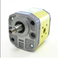 意大利 Vivoil 單向液壓泵 X0U0401ABBA 適用于低功率液壓系統(tǒng)驅(qū)動(dòng)