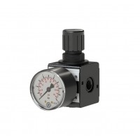 Riegler壓力調(diào)節(jié)器 R11-3，尺寸1，G 1/4,0.1 - 3 bar屬于可逆隔膜壓力調(diào)節(jié)器