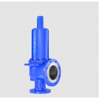 LESER安全閥API系列5262.6593型用于蒸汽，氣體和液體