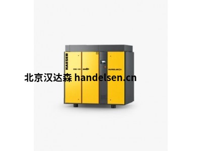 德國Kaeser干式螺桿壓縮機(jī)CSG 125 A風(fēng)冷式高效節(jié)能